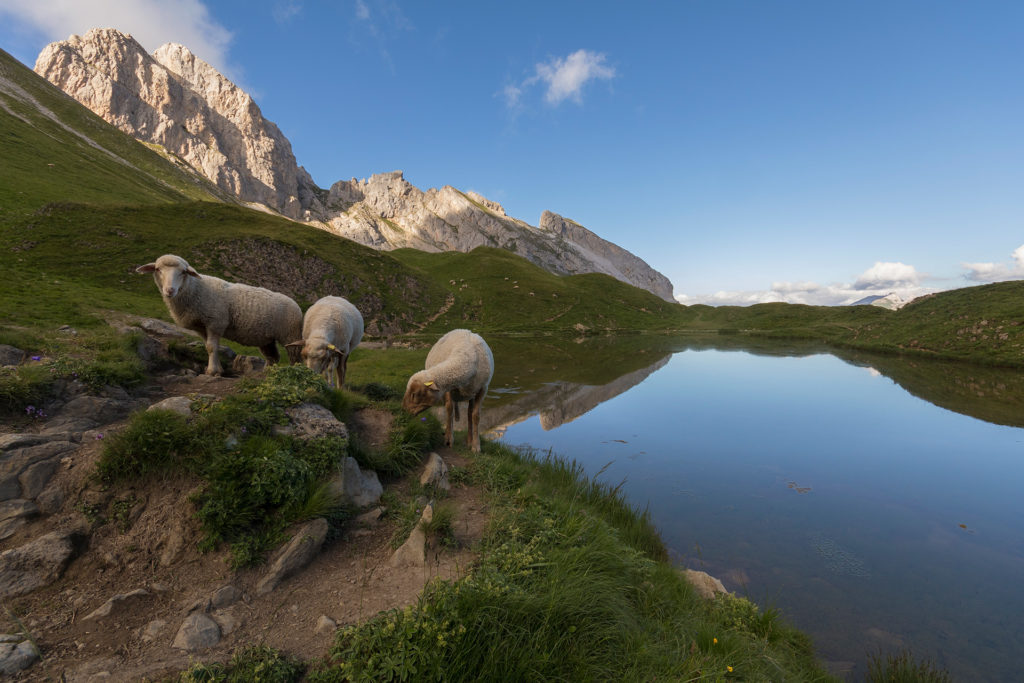 Lac de Peyre - C.Cattin-Alpcat - 001 - 1920px